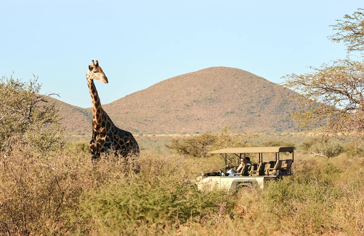 Enjoy the beauty of Tswalu Kalahari Reserve