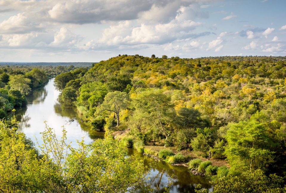 Enjoy the beauty of kruger national park