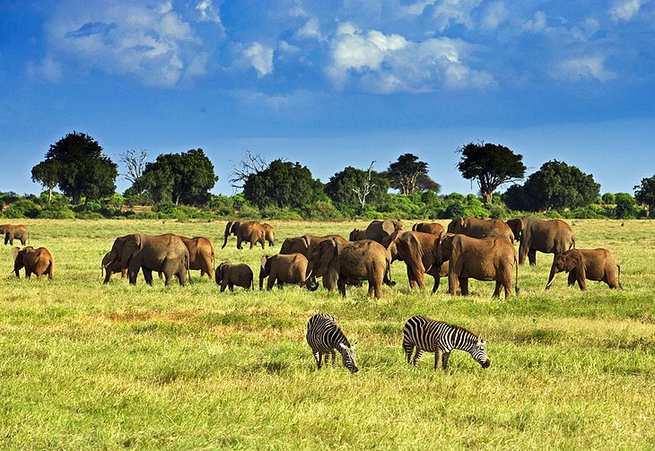 Enjoy the beauty of Tsavo National Park