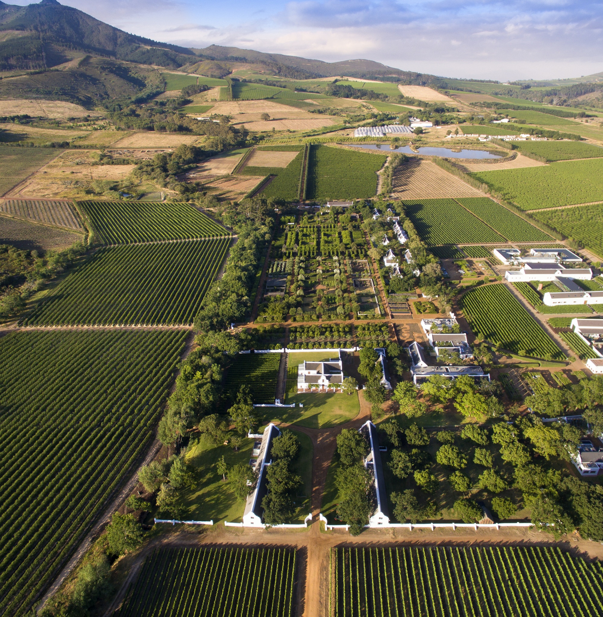 Enjoy the beauty of Cape Wineland